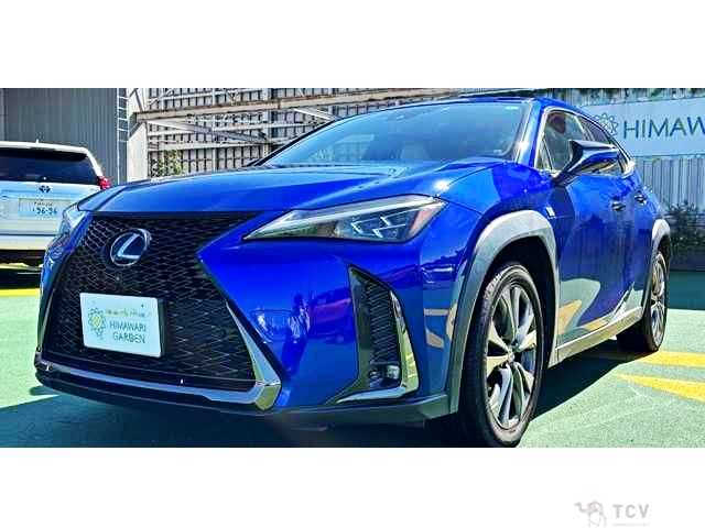 2018 Lexus Other