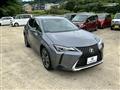 2018 Lexus Other
