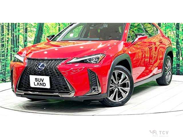 2018 Lexus Other