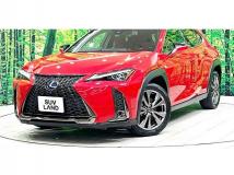 2018 Lexus Other