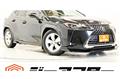 2018 Lexus Other