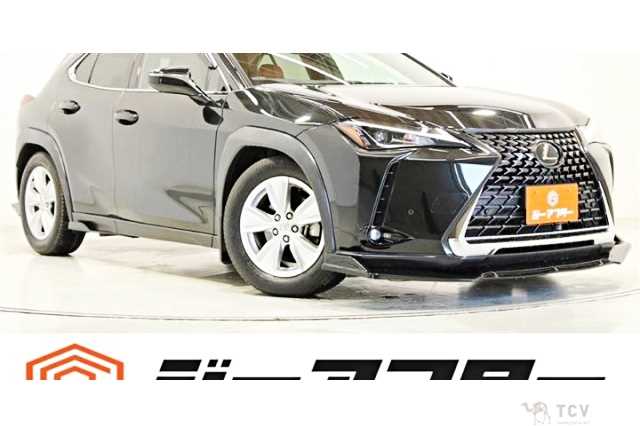 2018 Lexus Other