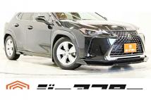 2018 Lexus Other