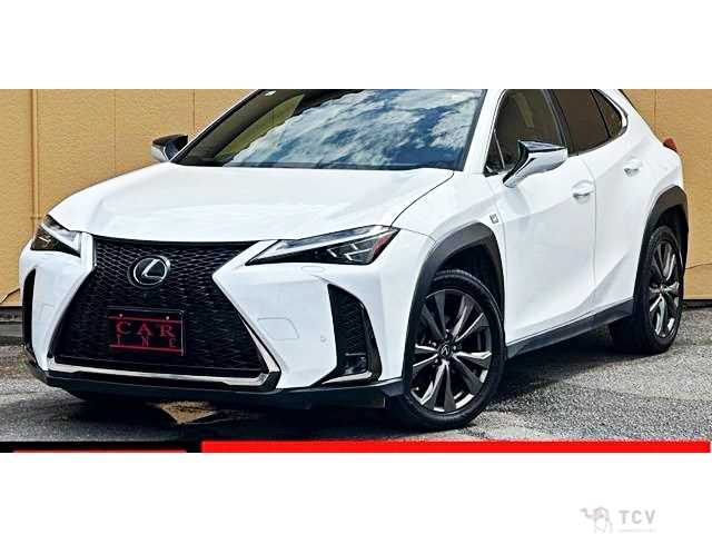 2018 Lexus Other