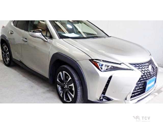 2018 Lexus Other