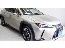 2018 Lexus Other