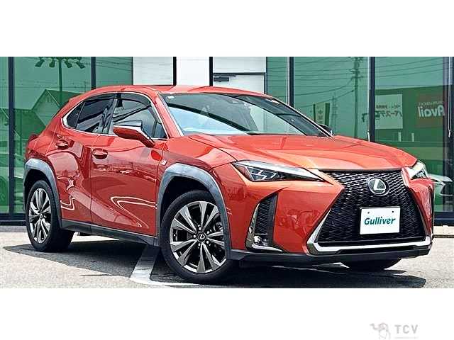 2018 Lexus Other