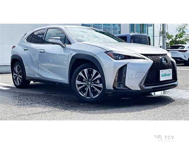 2018 Lexus Other