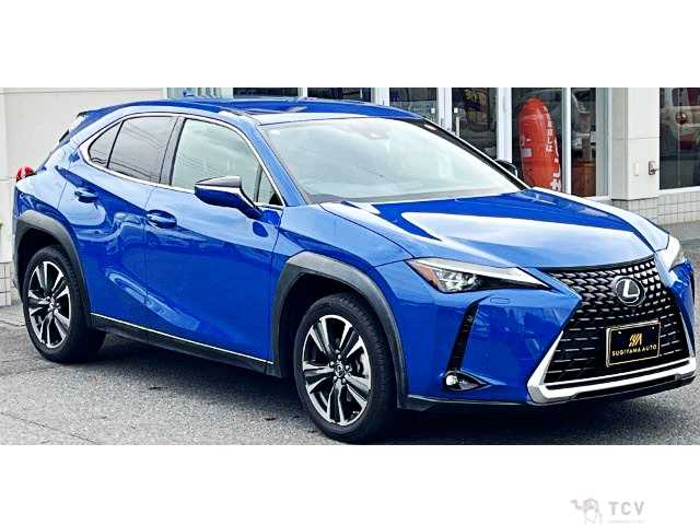 2018 Lexus Other