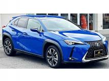 2018 Lexus Other