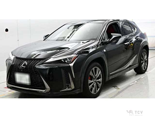 2018 Lexus Other