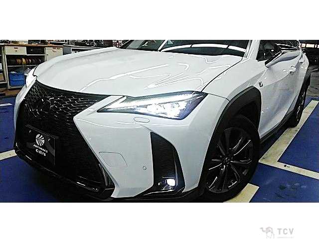 2018 Lexus Other