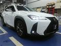 2018 Lexus Other