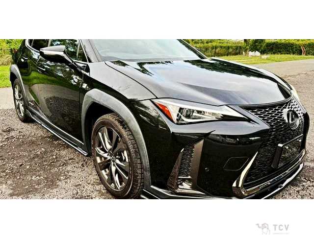 2018 Lexus Other