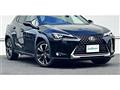 2018 Lexus Other