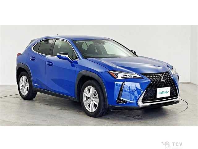 2018 Lexus Other
