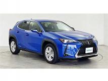 2018 Lexus Other