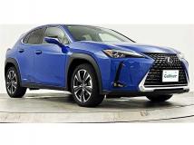 2018 Lexus Other