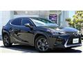 2018 Lexus Other