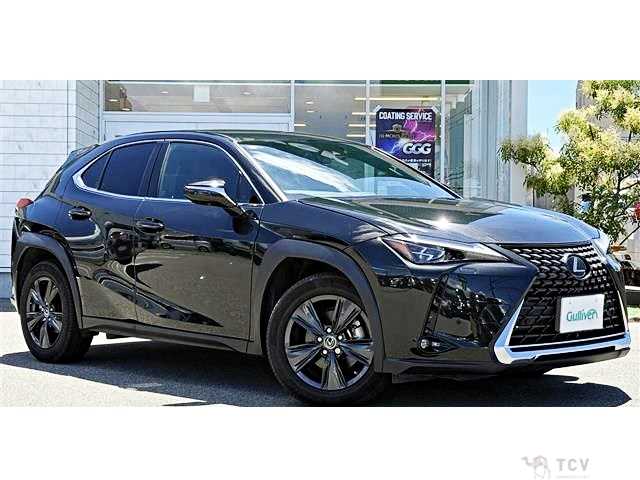 2018 Lexus Other