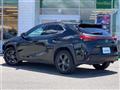 2018 Lexus Other