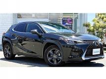 2018 Lexus Other