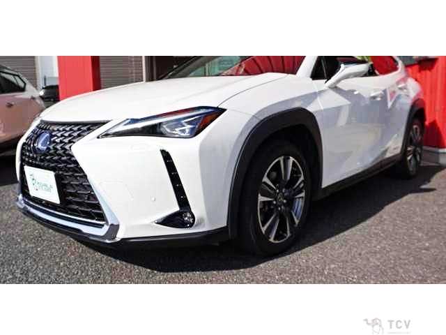 2018 Lexus Other