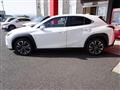 2018 Lexus Other