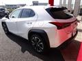 2018 Lexus Other