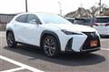 2018 Lexus Other