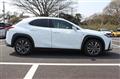 2018 Lexus Other