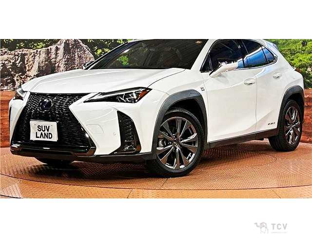 2018 Lexus Other