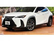 2018 Lexus Other