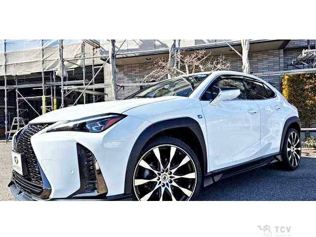 2018 Lexus Other
