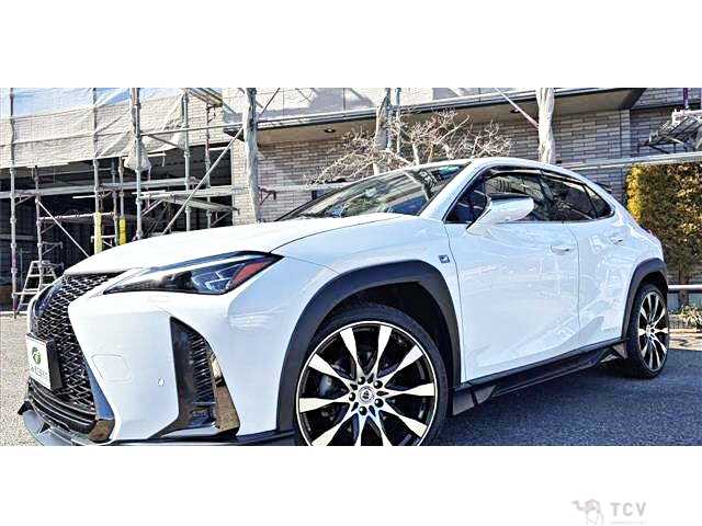 2018 Lexus Other