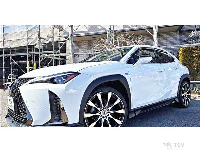 2018 Lexus Other