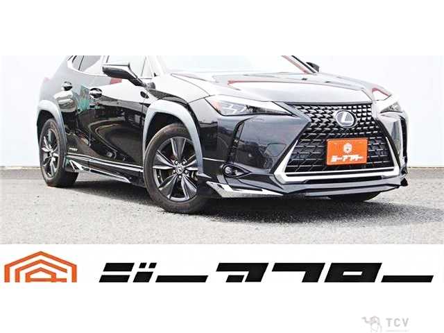 2019 Lexus Other