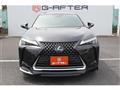 2019 Lexus Other