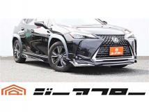 2019 Lexus Other