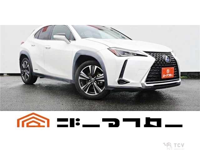 2019 Lexus Other