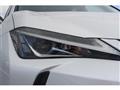 2019 Lexus Other