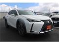2019 Lexus Other