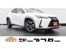 2019 Lexus Other