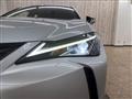 2019 Lexus Other