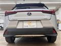 2019 Lexus Other
