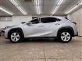 2019 Lexus Other