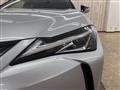 2019 Lexus Other