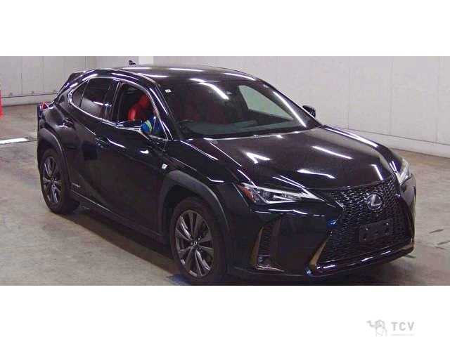 2019 Lexus Other