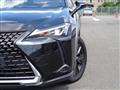 2019 Lexus Other