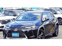2019 Lexus Other